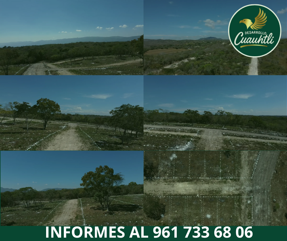 4 de 13