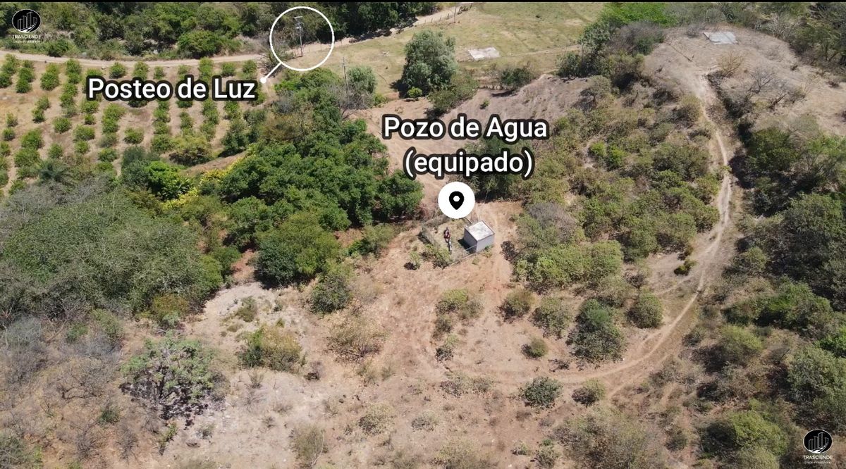 Imagen 5 de 10