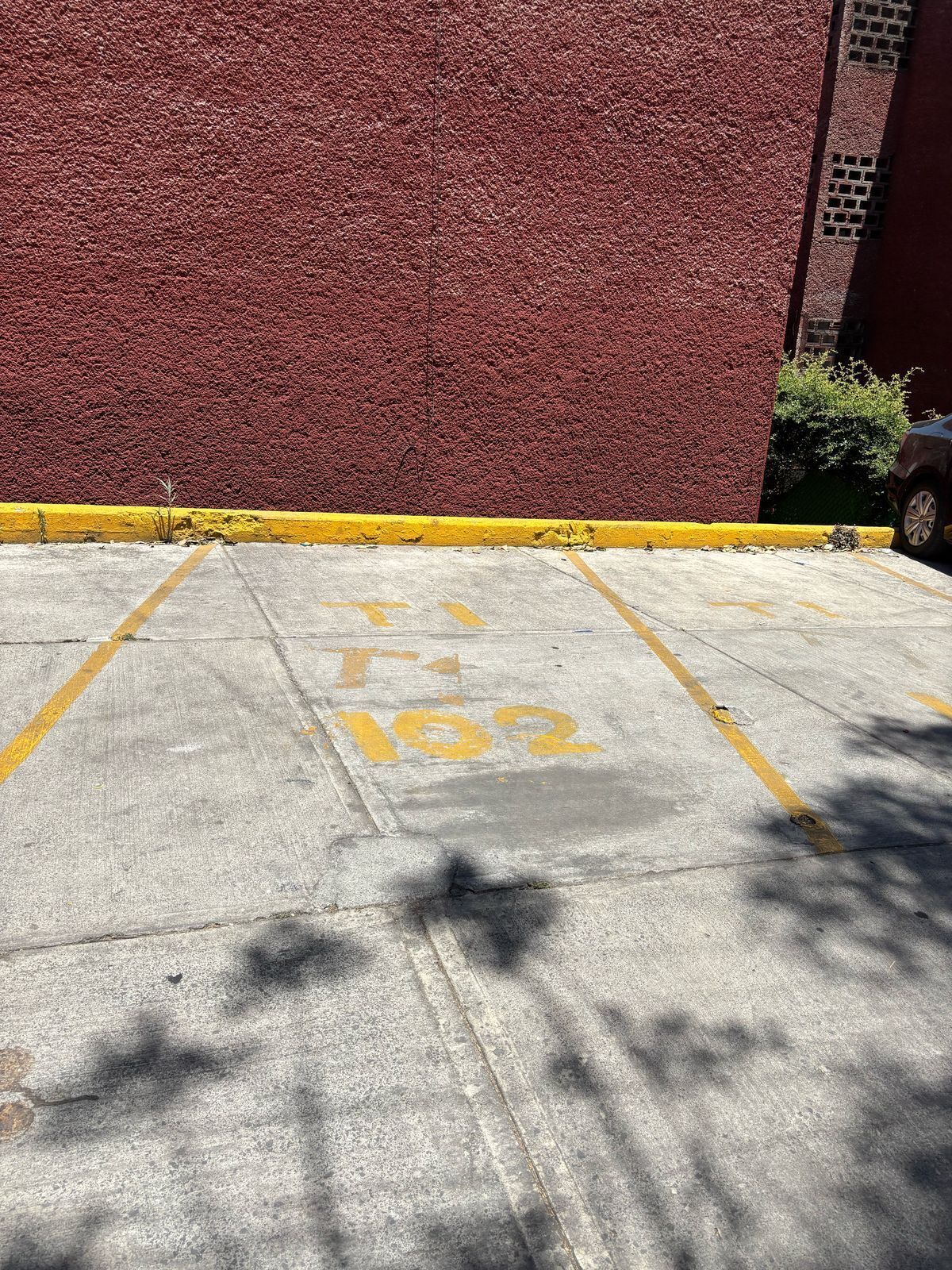 12 de 17