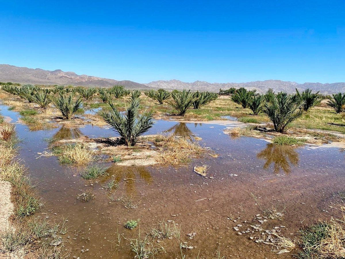 Rancho en Mexicali, Mexicali, foto 10 de 32