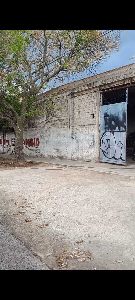 6 de 7