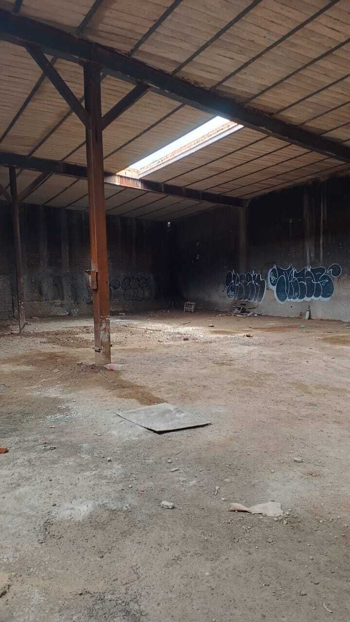 7 de 7