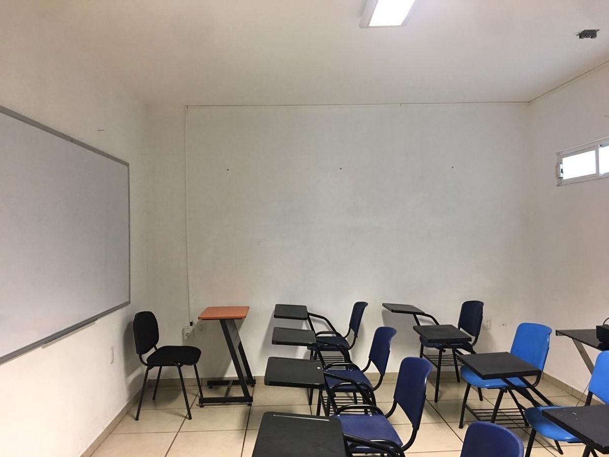 5 de 11