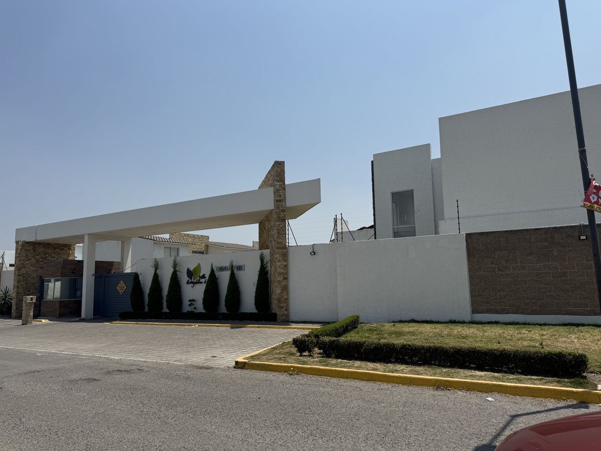 3 de 19