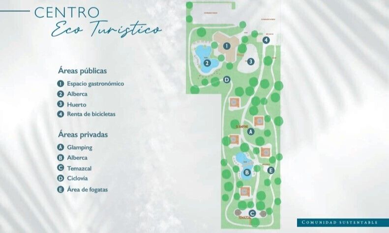 13 de 13