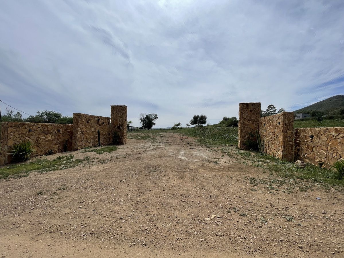 Venta de 4.8 Ha en Valle de Guadalupe
