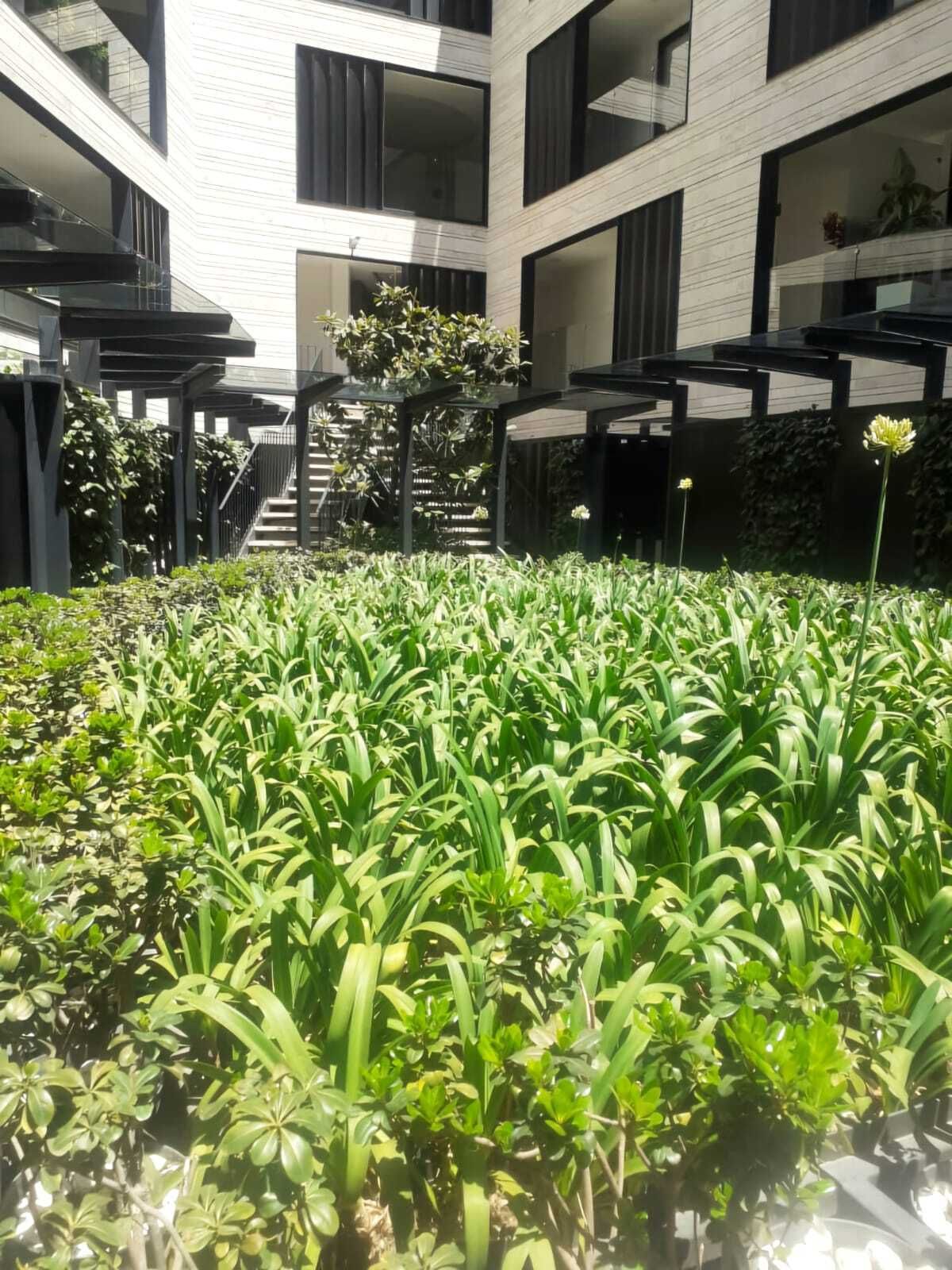 17 de 26: Jardín central del edificio