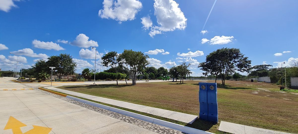 4 de 19: VIALIDADES