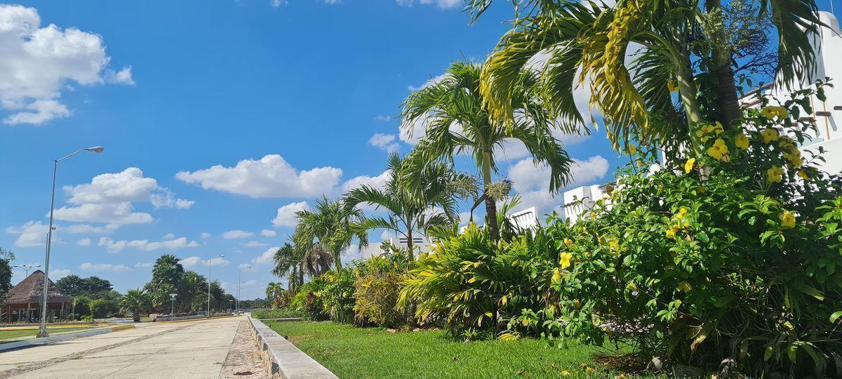 16 of 23: VIALIDADES