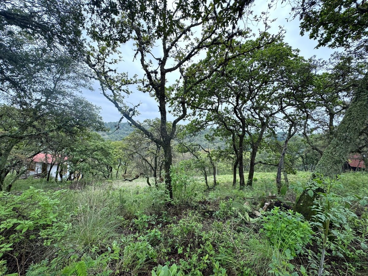 5 de 13