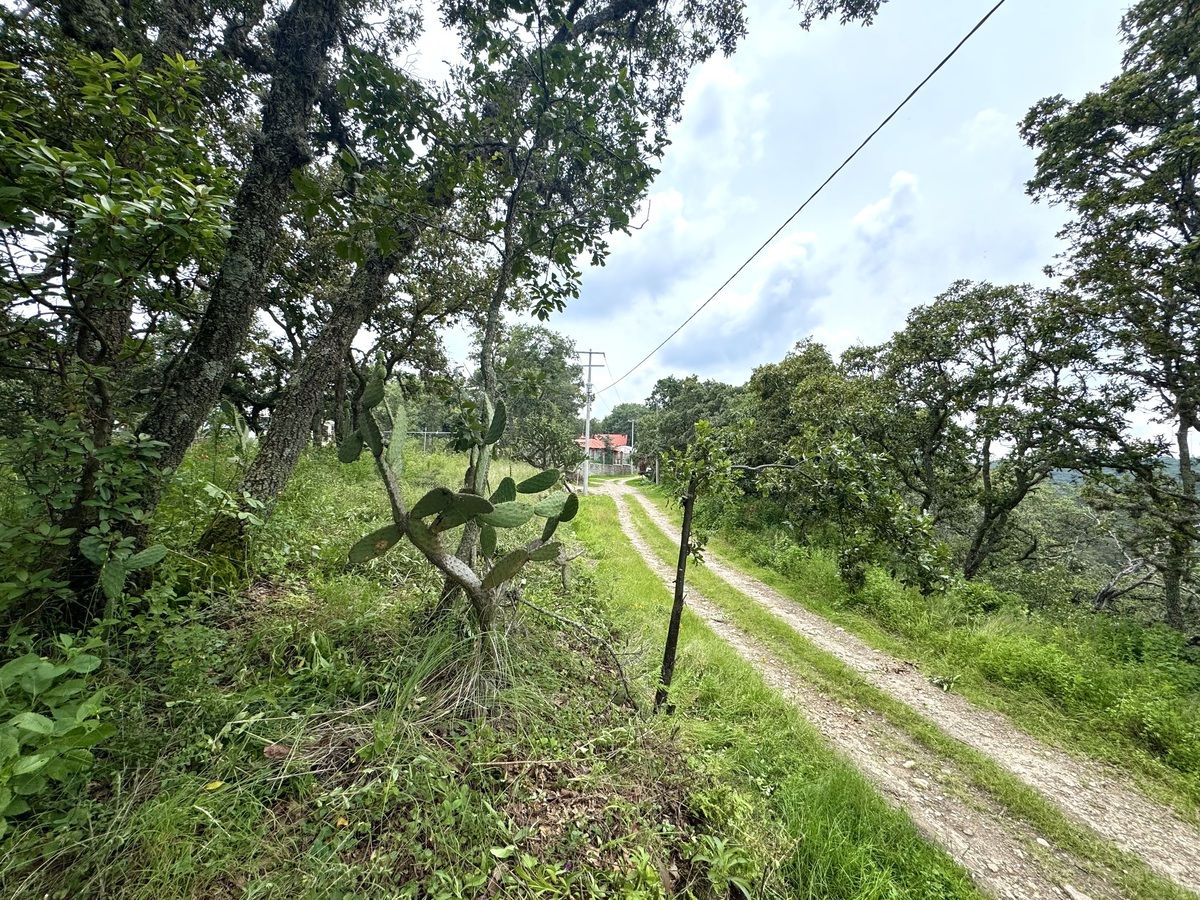 1 de 24