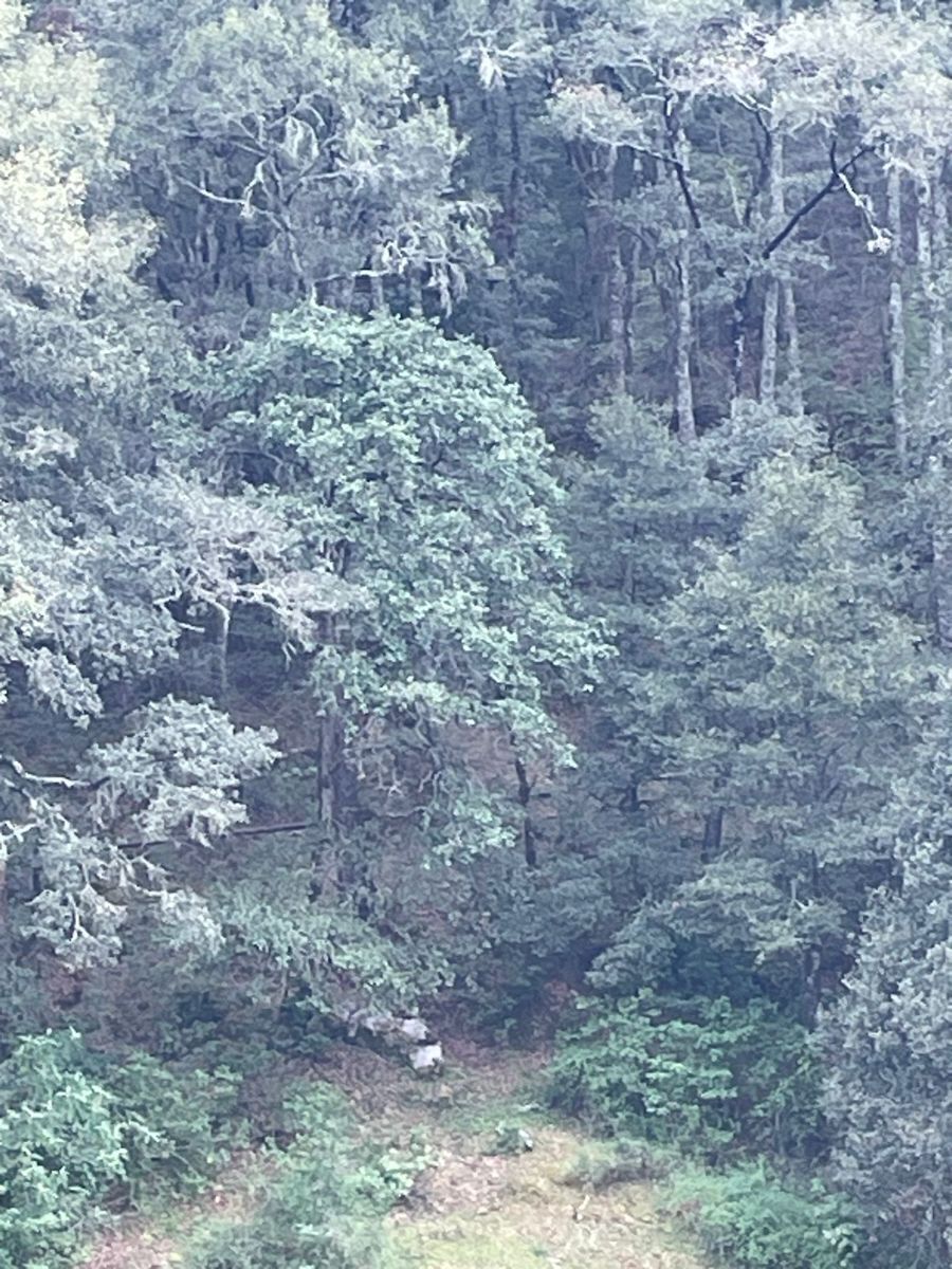 Imagen 6 de 6