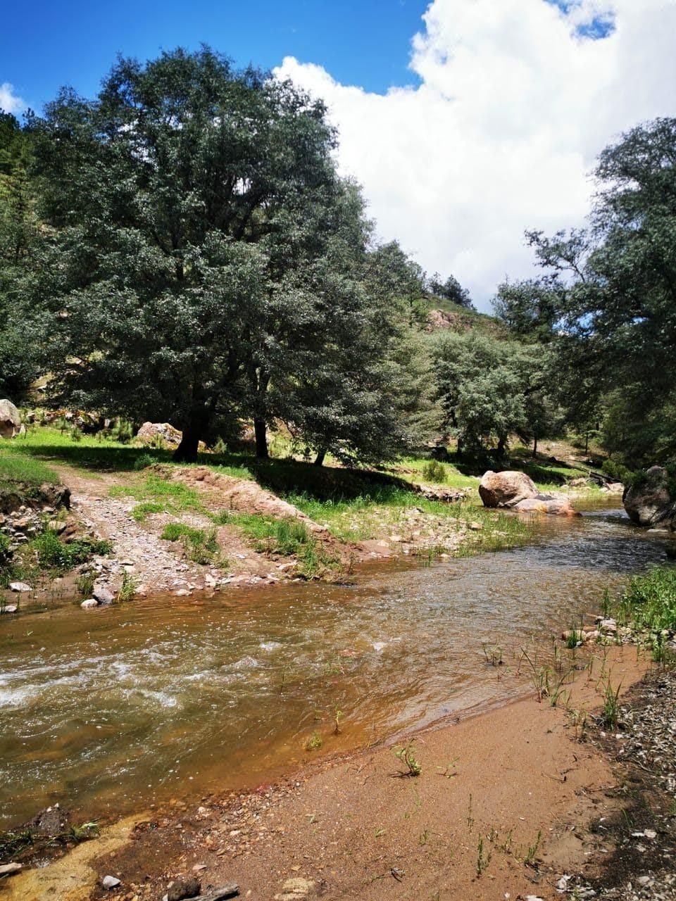 Lotes Campestres en PreVenta ubicados en la Sierra Madre Occidental Alta Norte