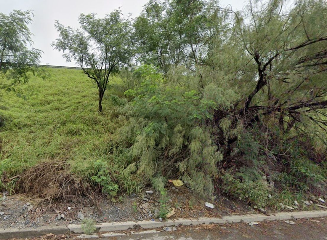 4 de 15: Vista frontal