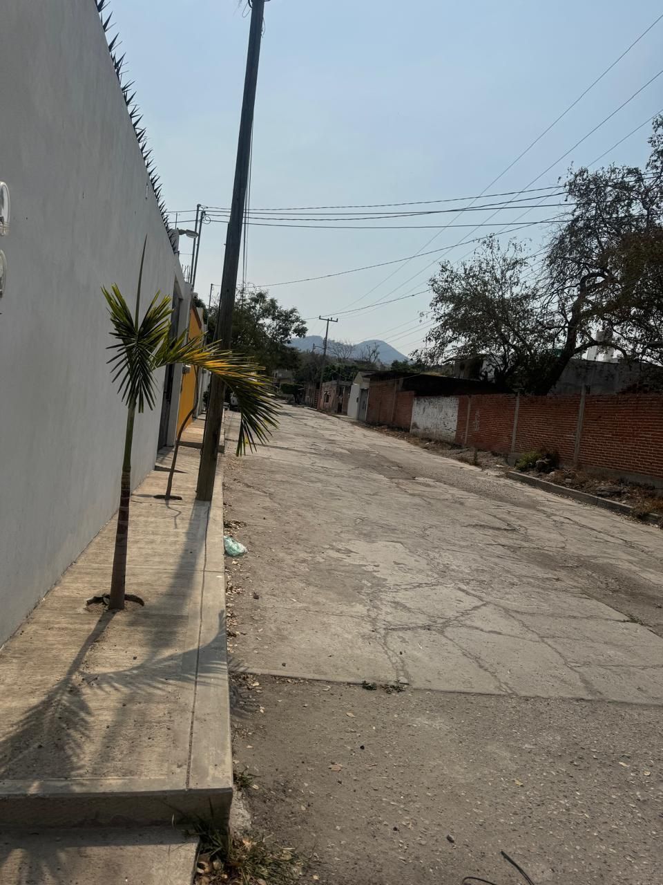 9 of 9: Vista de calle hacia el poniente.
