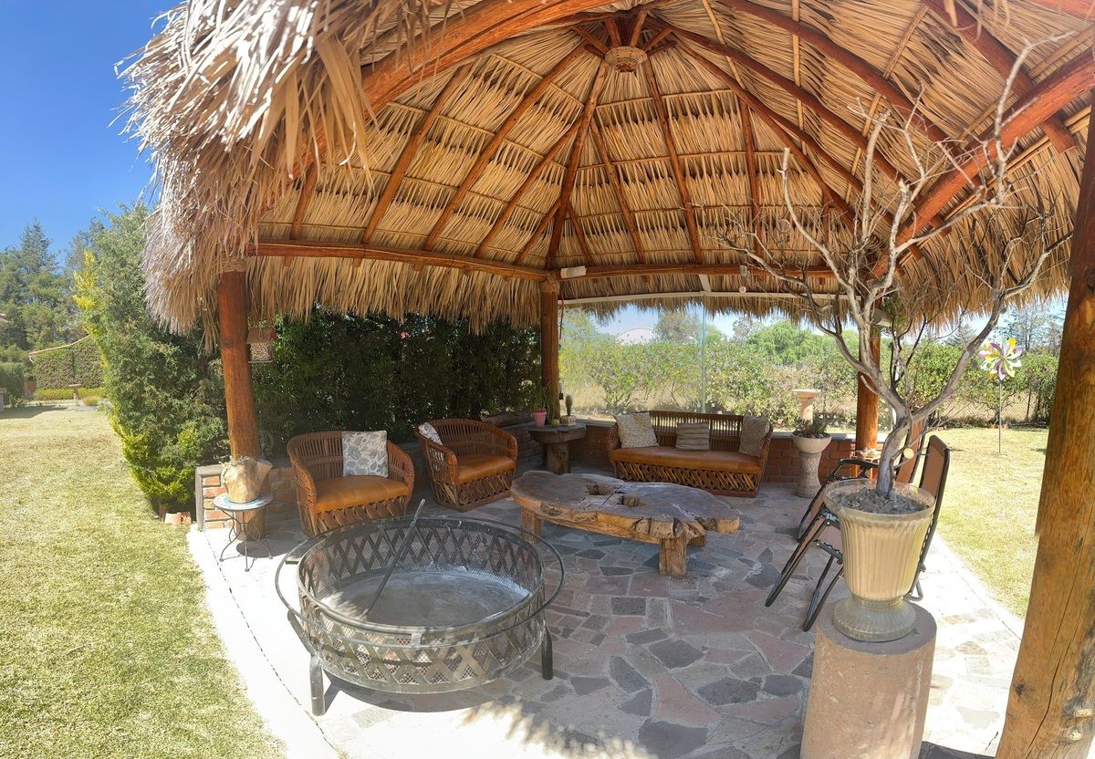 7 of 31: Palapa