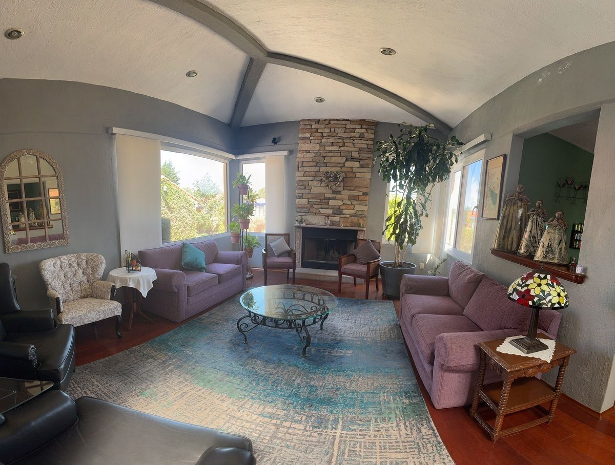 3 of 31: Sala con Chimenea