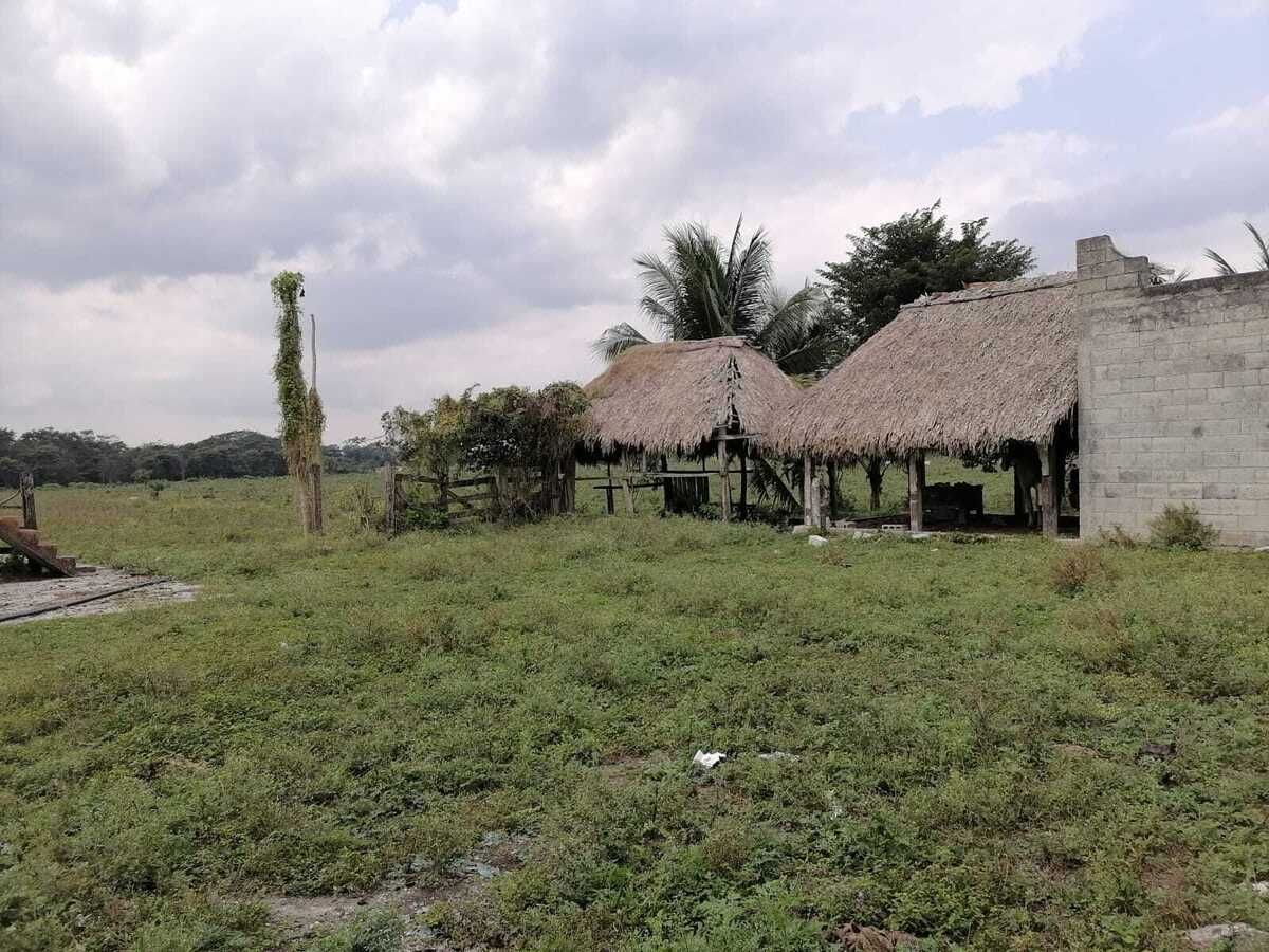 Extenso terreno de 529 HA, propiedad privada, en Campeche - foto 1