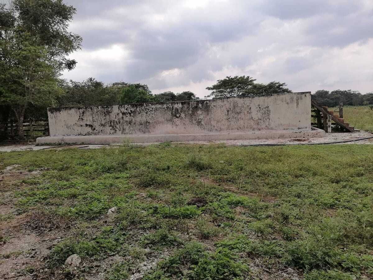 Extenso terreno de 529 HA, propiedad privada, en Campeche - foto 2