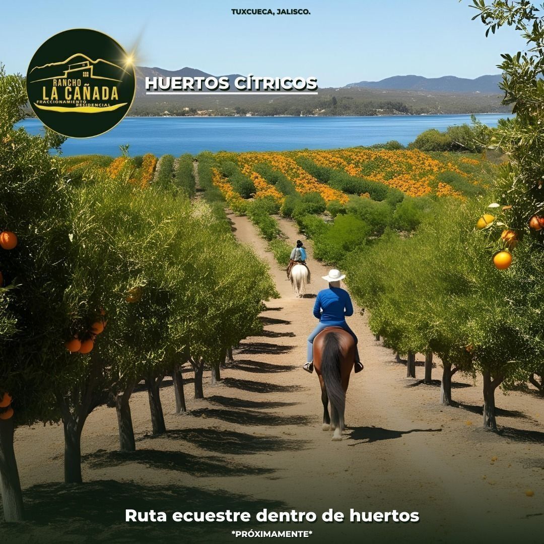 TERRENOS EN SAN LUIS SOYATLAN. Fraccionamiento Rancho La Cañada - foto 4
