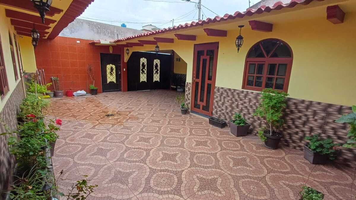3 de 19