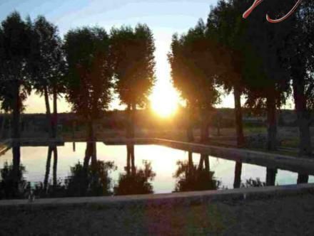 Imagen 3 de 8