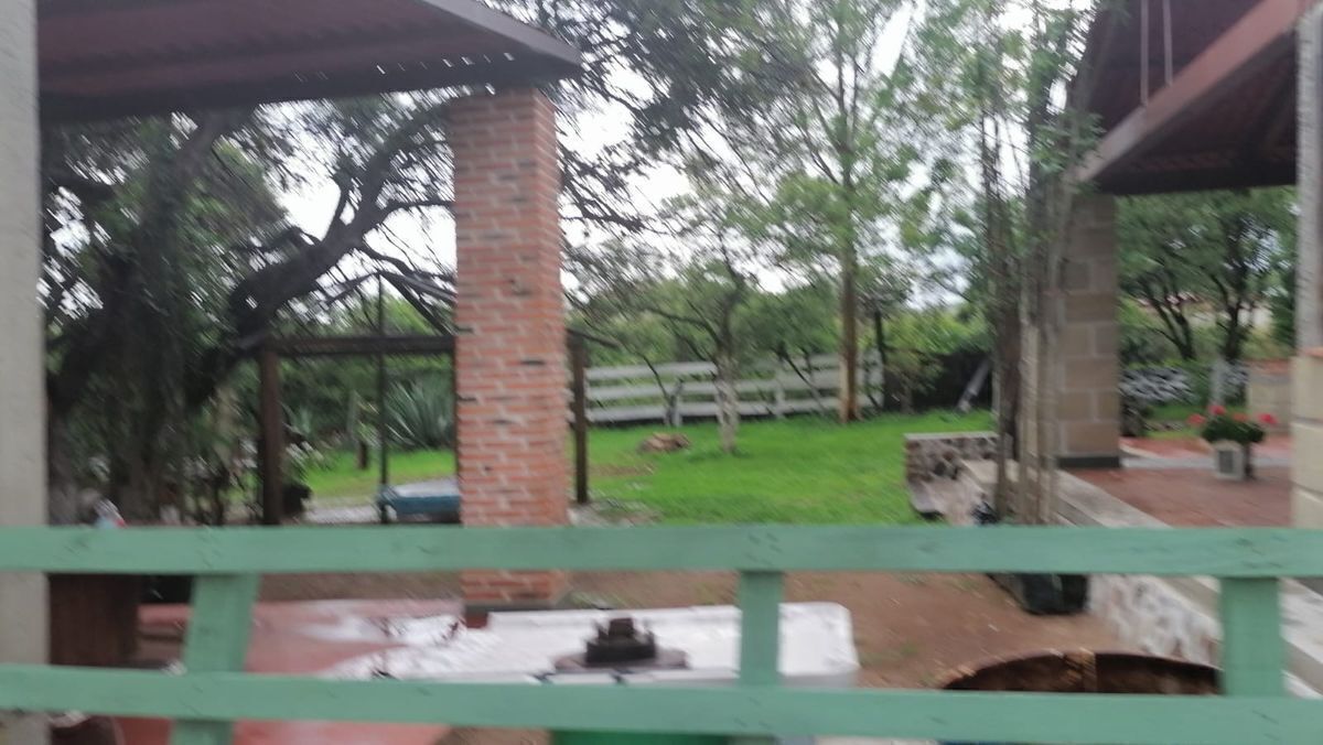 Imagen 4 de 10