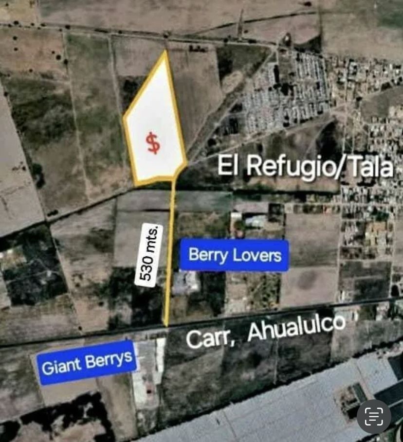 Imagen 2 de 2