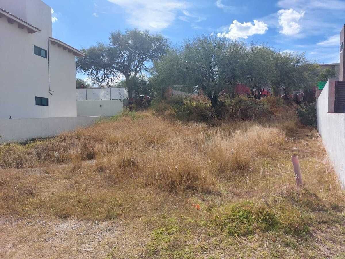 3 de 10