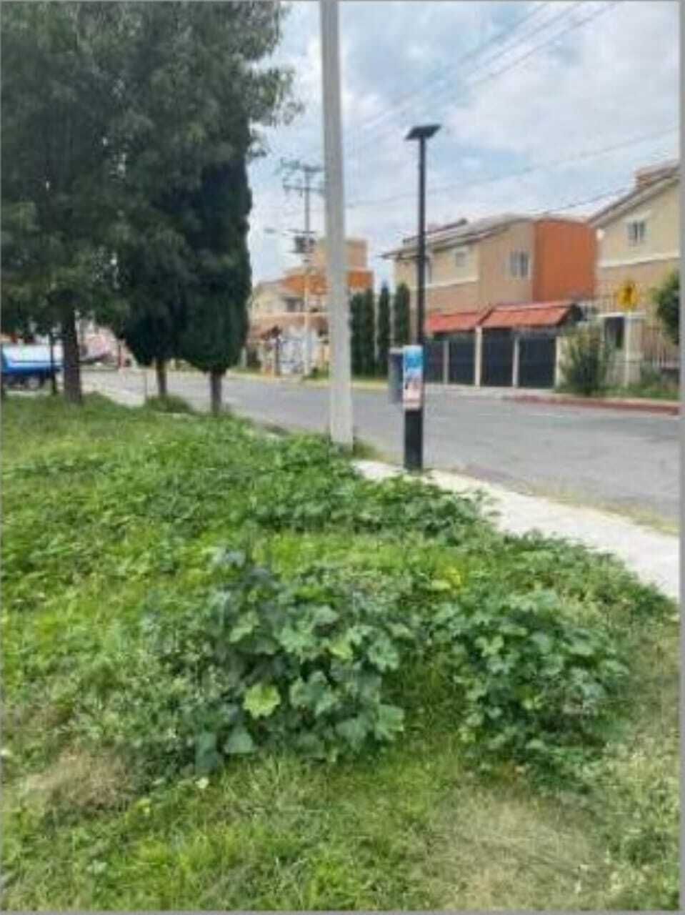2 de 3