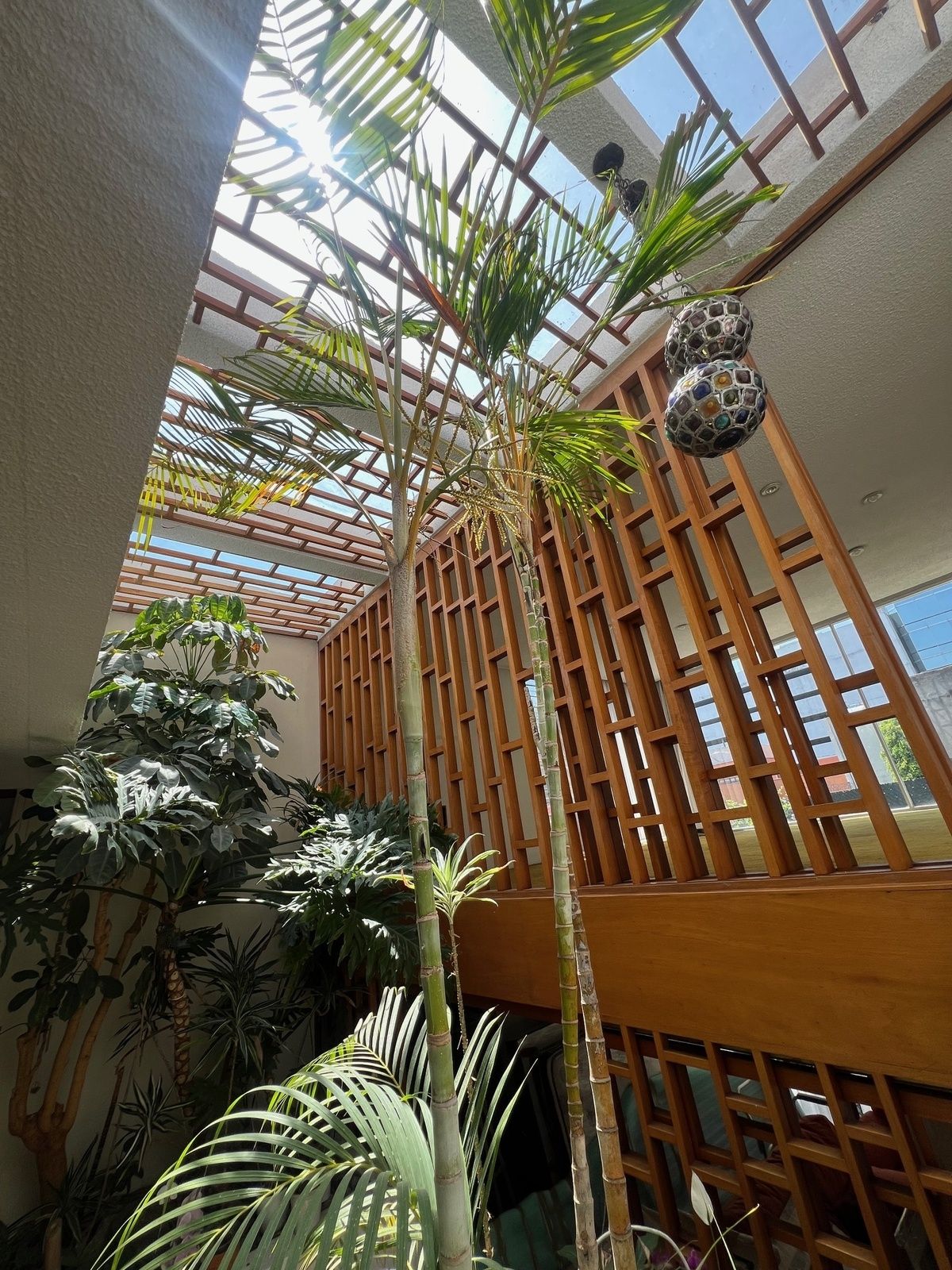 jardines interiores en vestibulo