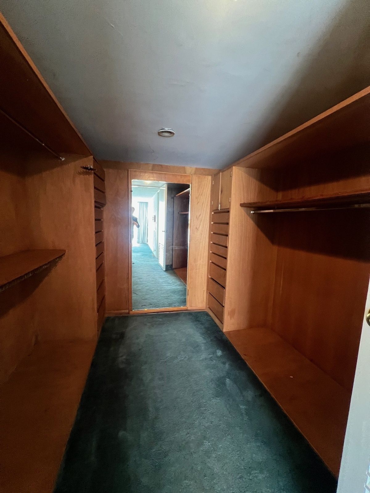 amplios walking closet