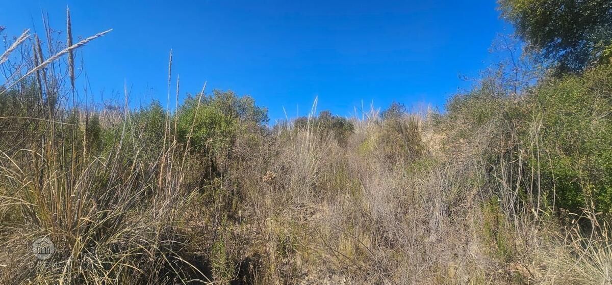 17 de 31