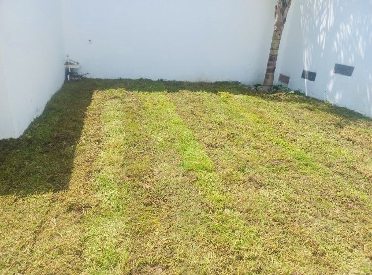 15 de 40