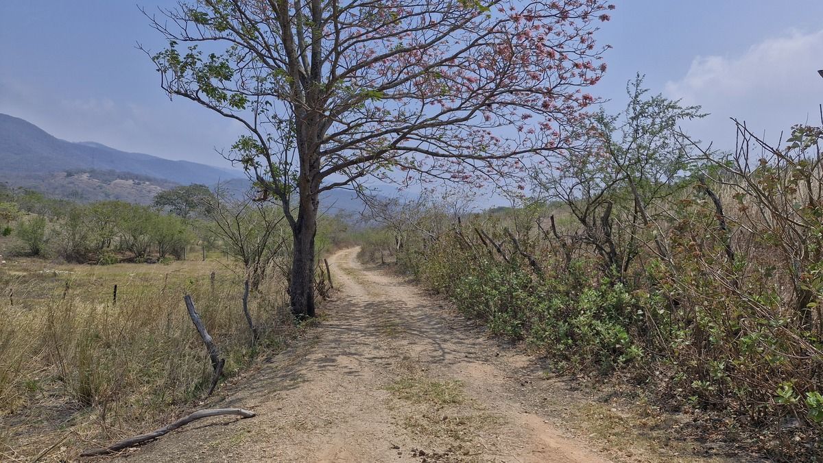 Terreno en VENTA en Berriozábal, Chiapas - foto 3