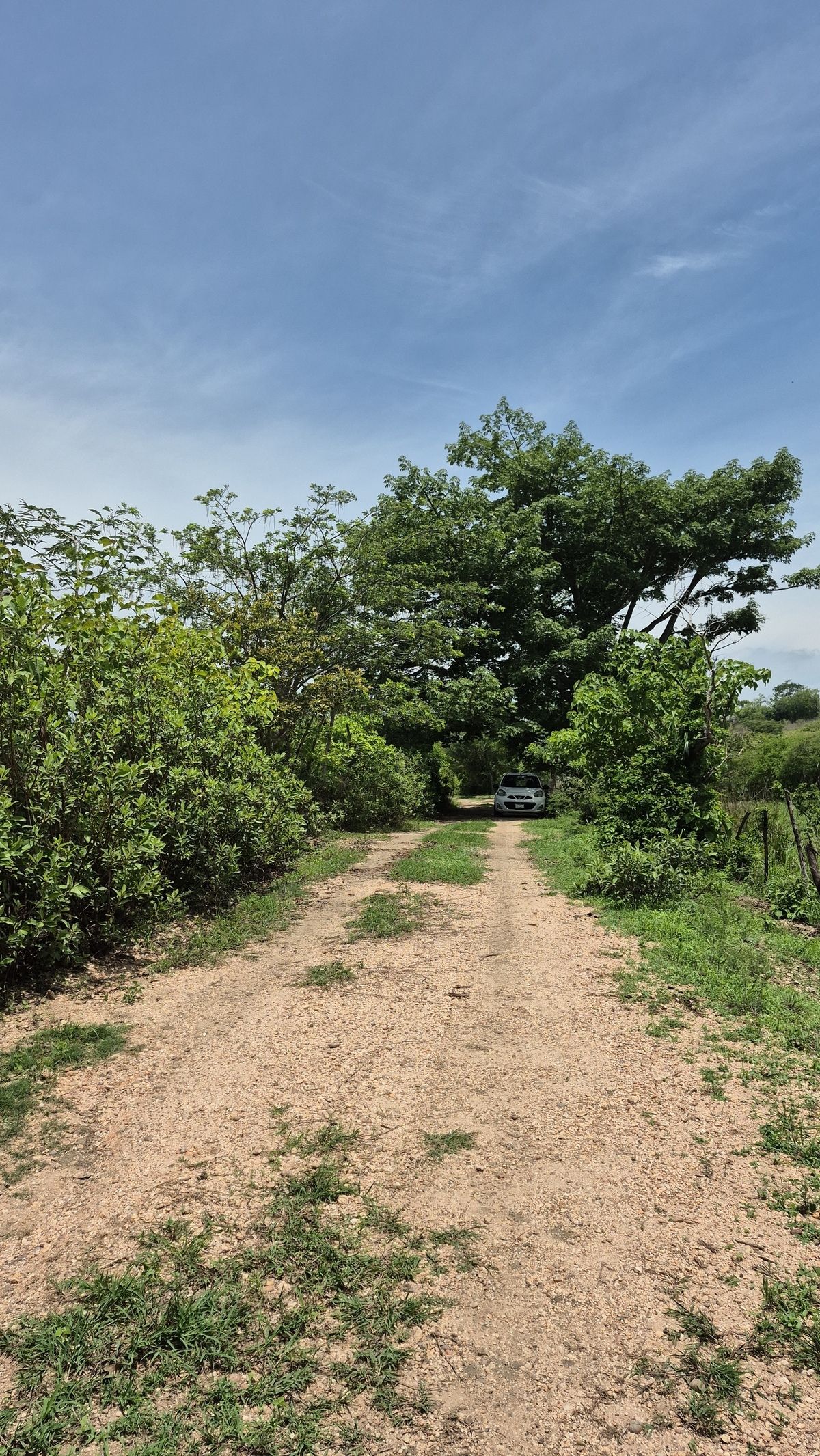Terreno en VENTA en Berriozábal, Chiapas - foto 4