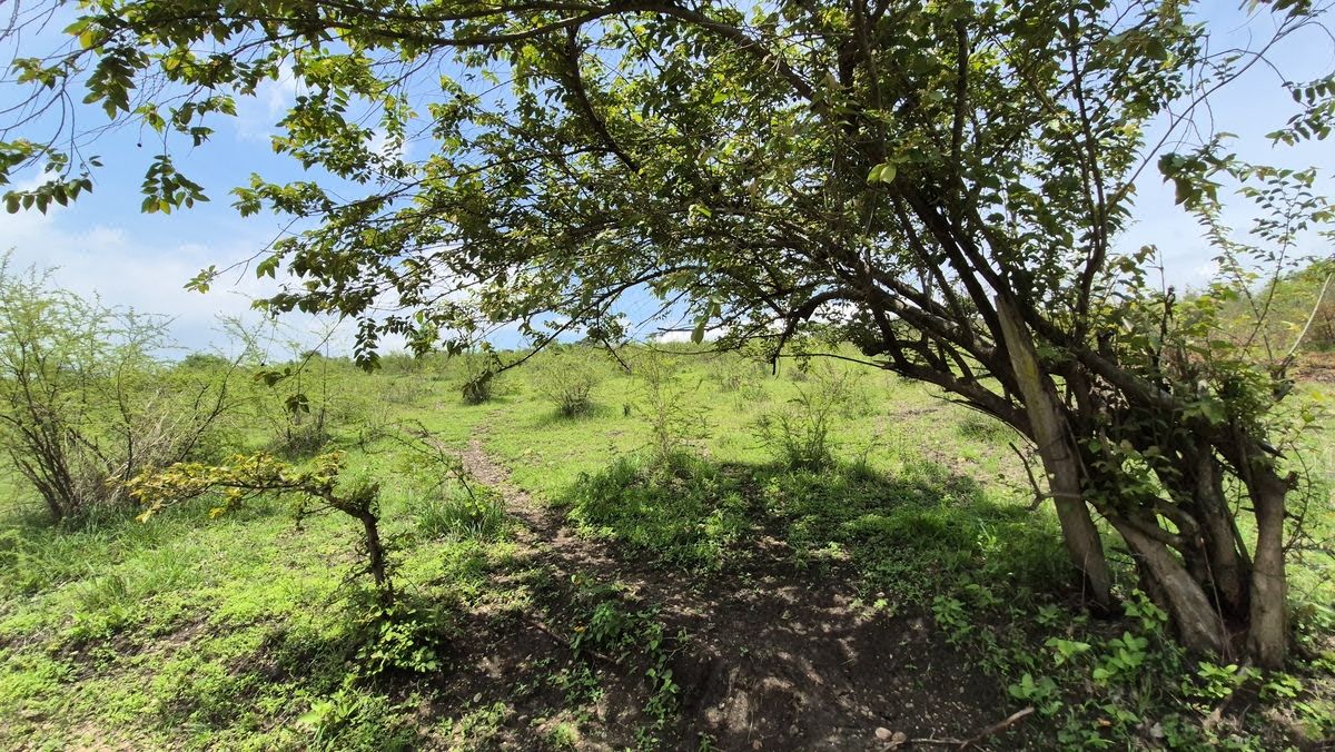 Terreno en VENTA en Berriozábal, Chiapas - foto 1