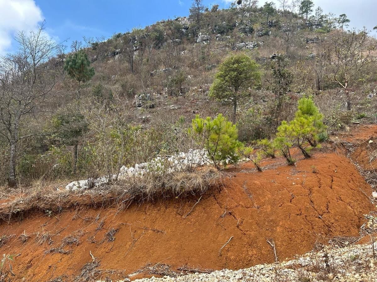 TERRENO EN VENTA EN EL KM 38 AUTOPISTA SAN CRISTÓBAL TUXTLA - foto 1