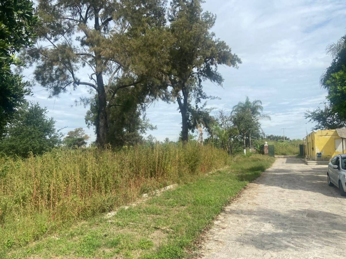 Land for Sale San Sebastián, Tlajomulco de Zúñiga - foto 5