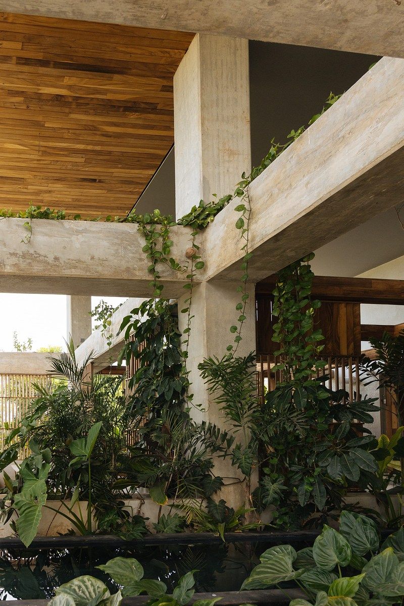 Departamento en Santa Gertrudis Copo, Mérida, foto 18 de 37