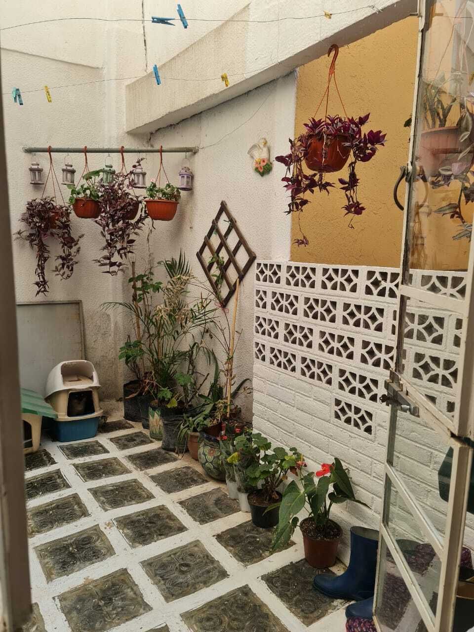 5 of 11: PATIO PRIVADO