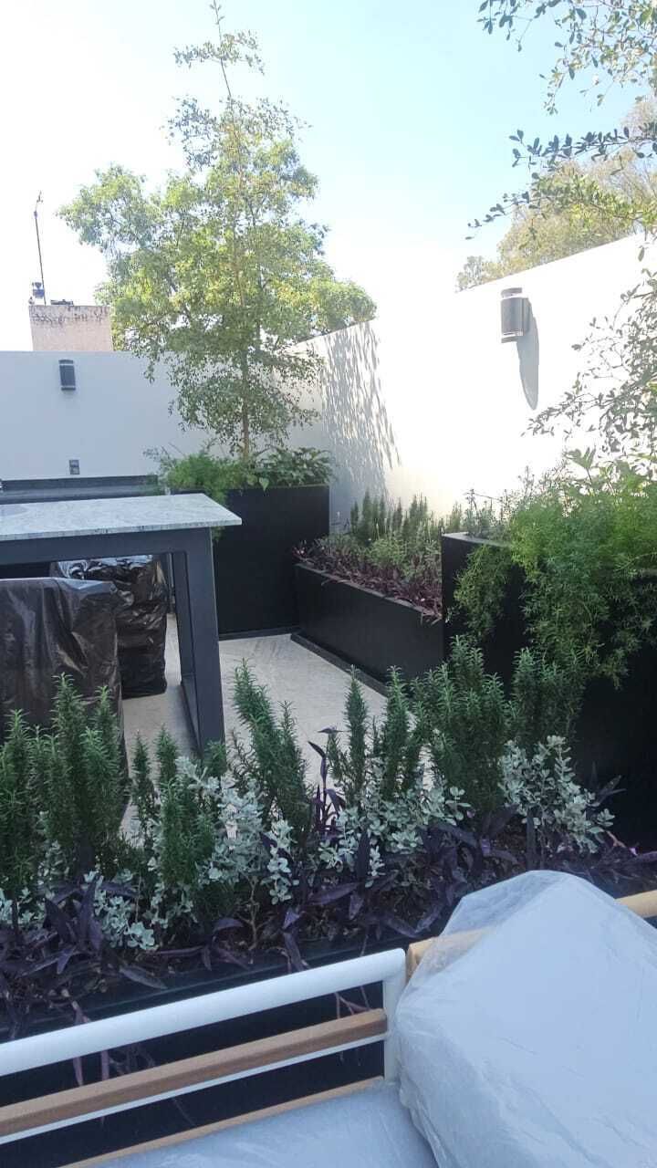 20 de 25
