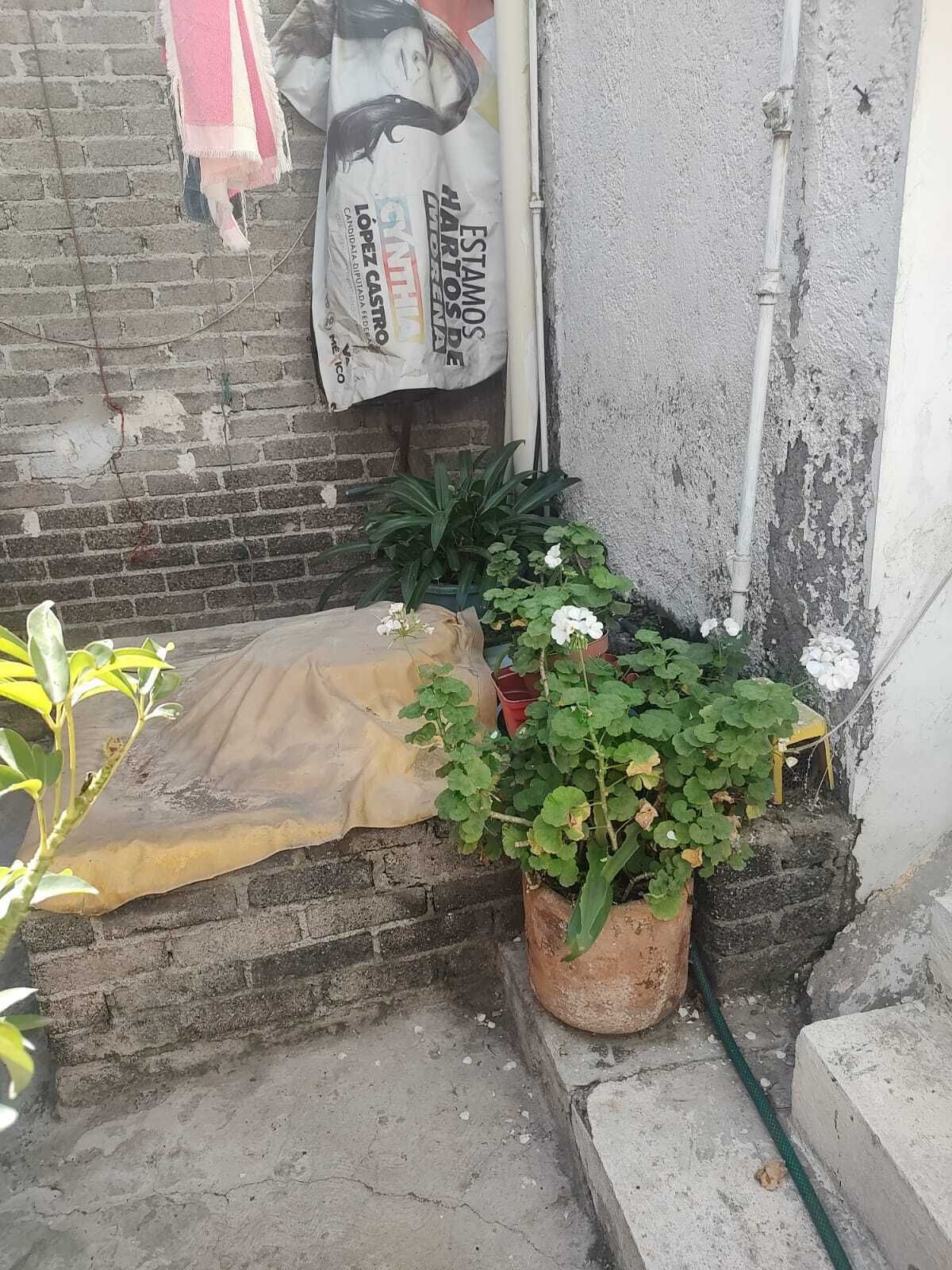 8 de 17