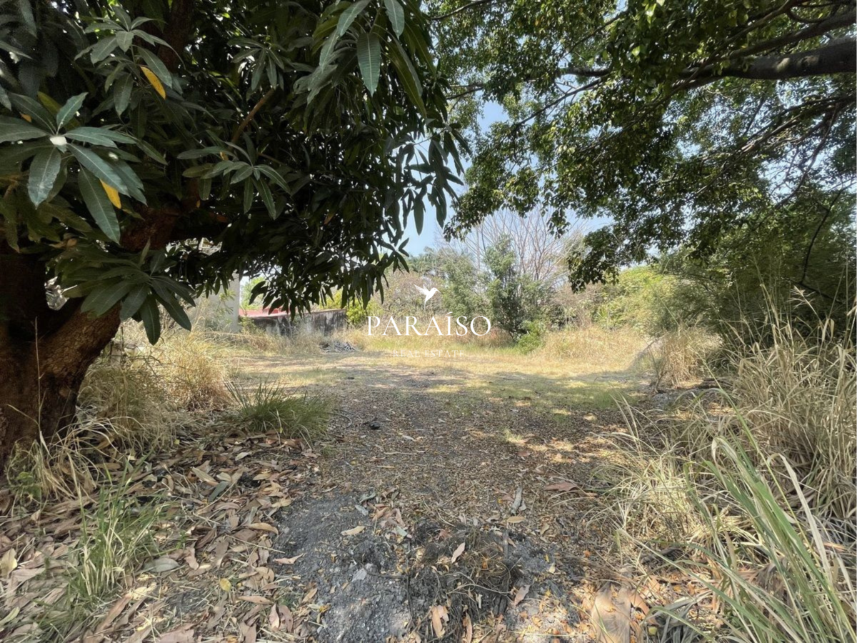 4 de 4