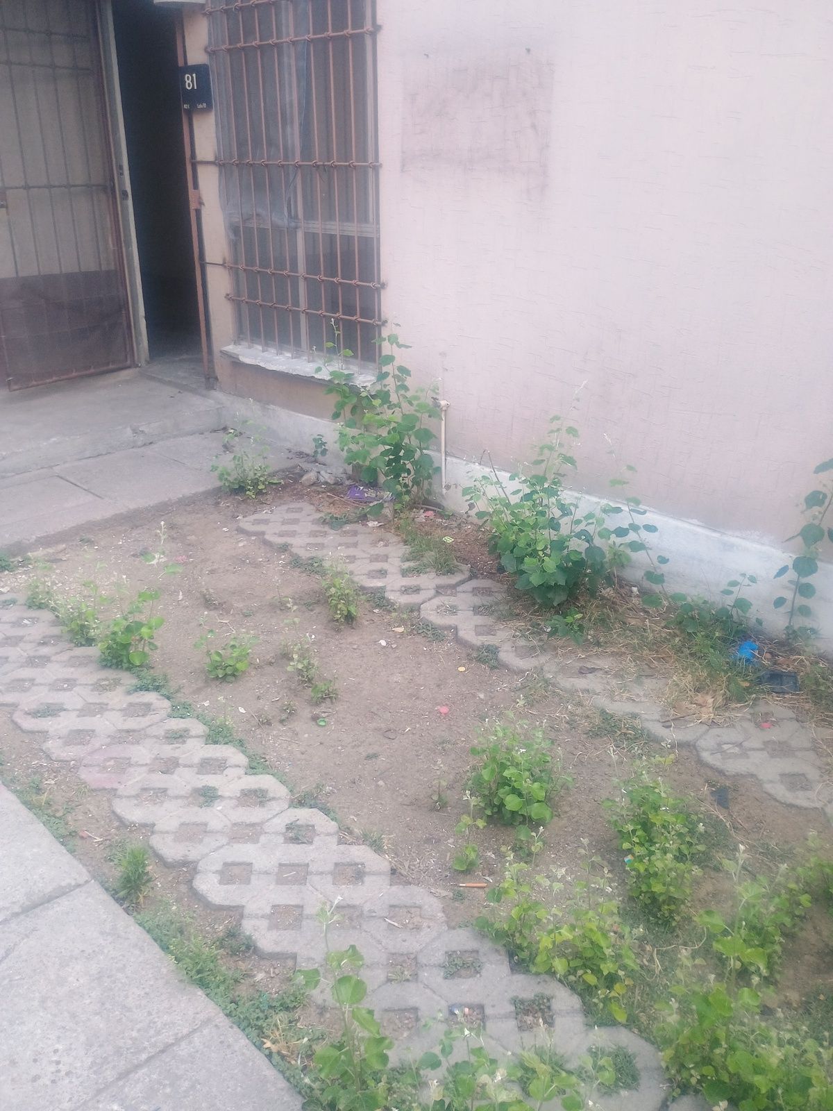 4 de 26