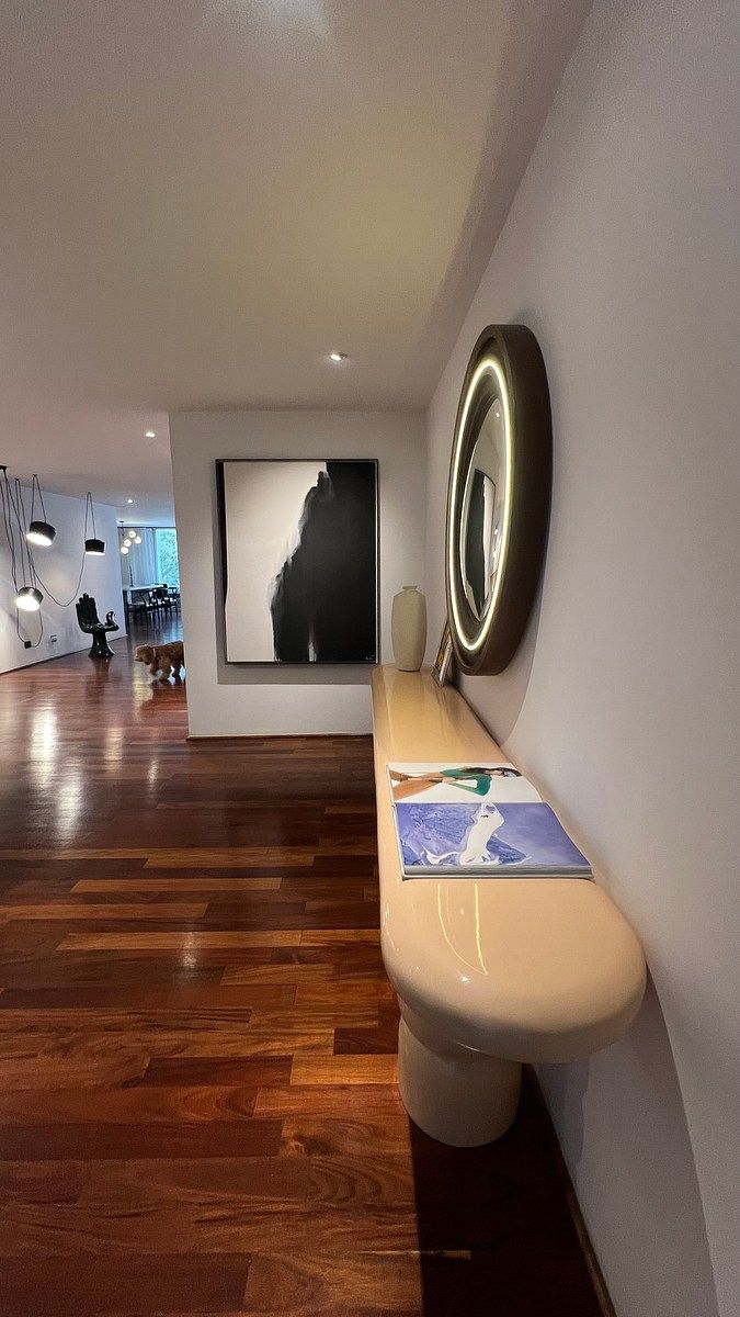 Apartamento de Revista Mobiliado em Lope de Vega Polanco com 2 Quartos, foto 1 de 25