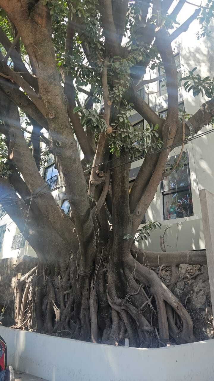 4 de 7