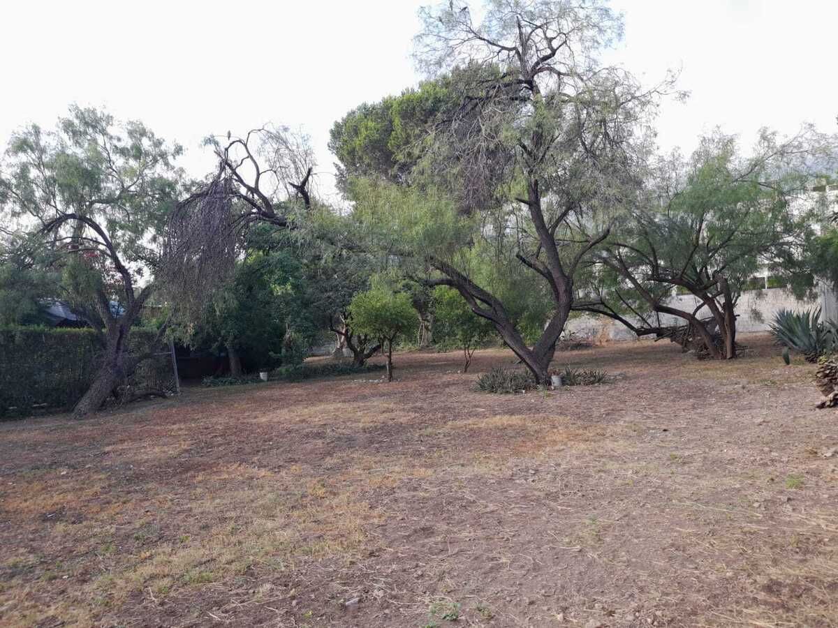 TERRENO EN VENTA PALO BLANCO SAN PEDRO GARZA GARCIA NL - foto 1