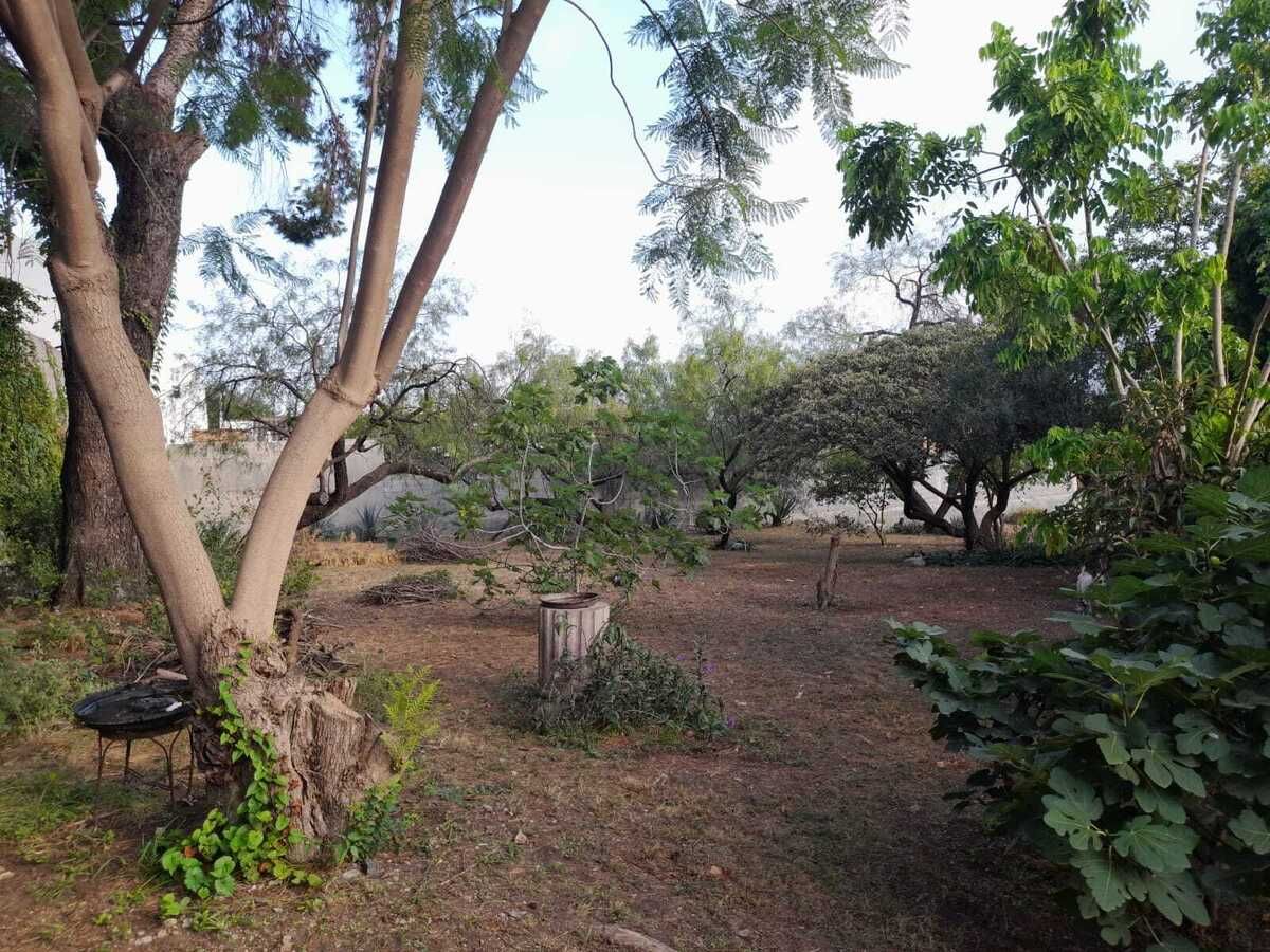 TERRENO EN VENTA PALO BLANCO SAN PEDRO GARZA GARCIA NL - foto 2