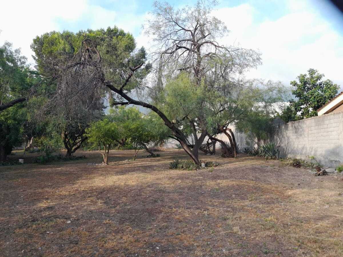TERRENO EN VENTA PALO BLANCO SAN PEDRO GARZA GARCIA NL - foto 4